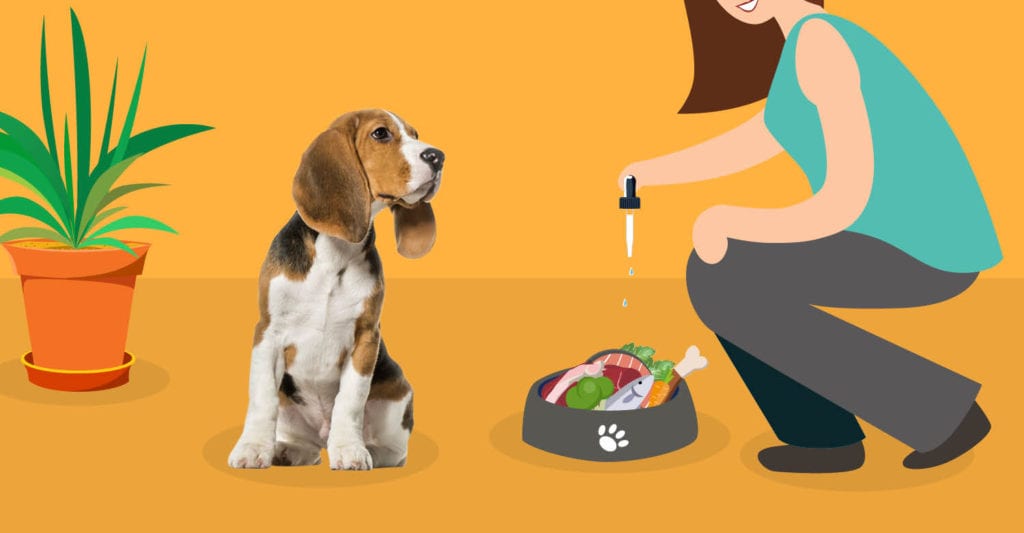 CBD For Pets