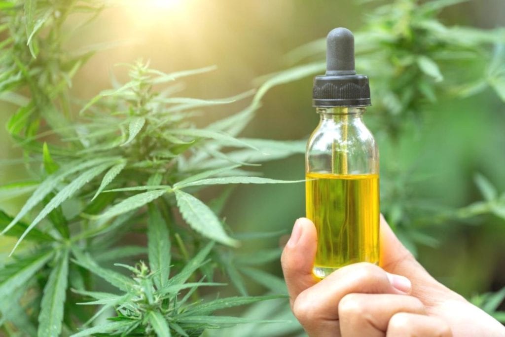 CBD Oil Tincture