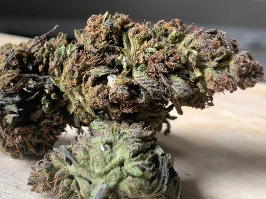 CBD Bud