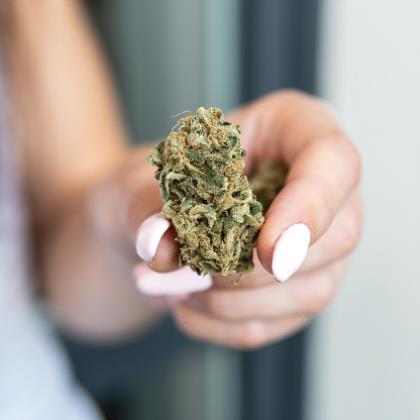 CBD Flower