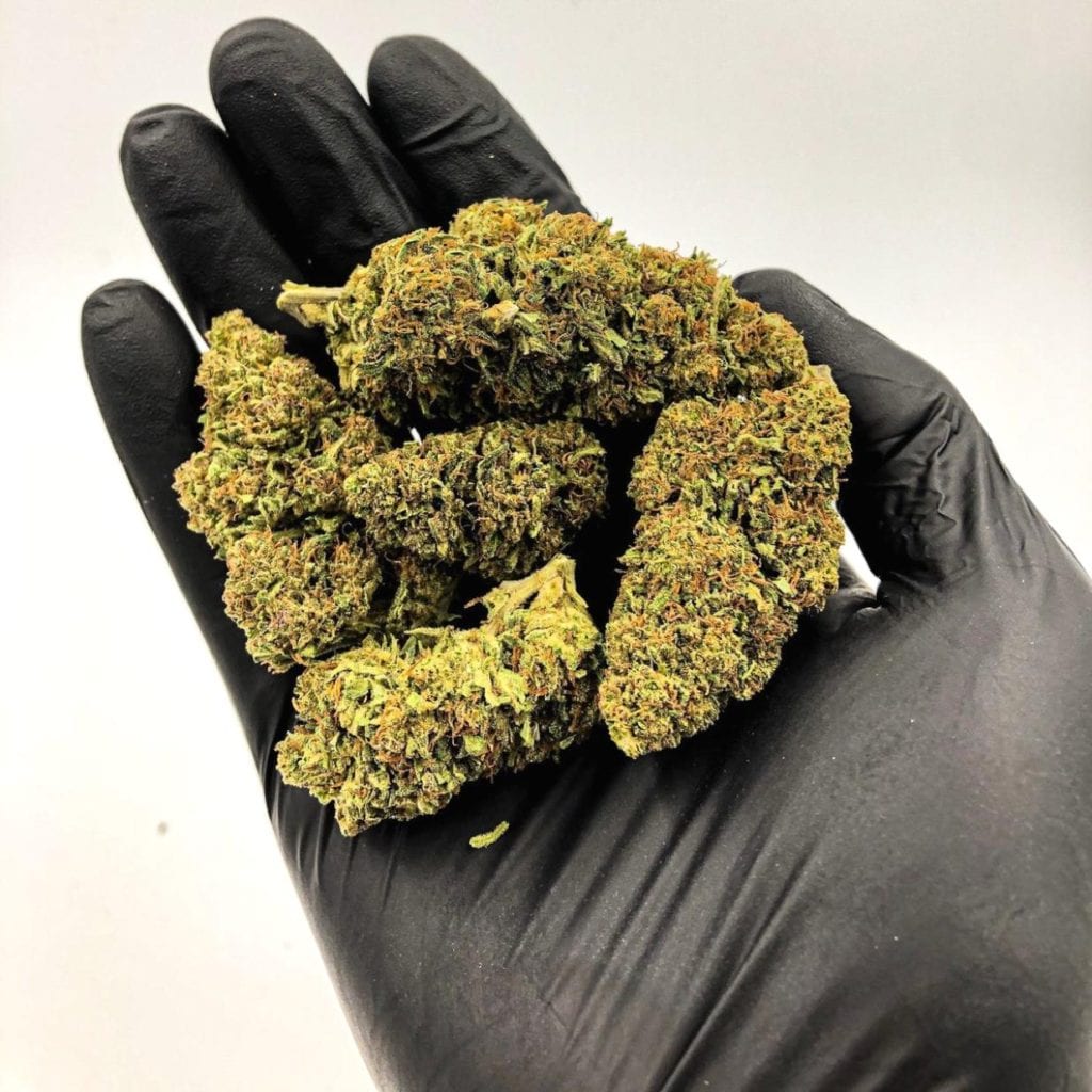 Buds