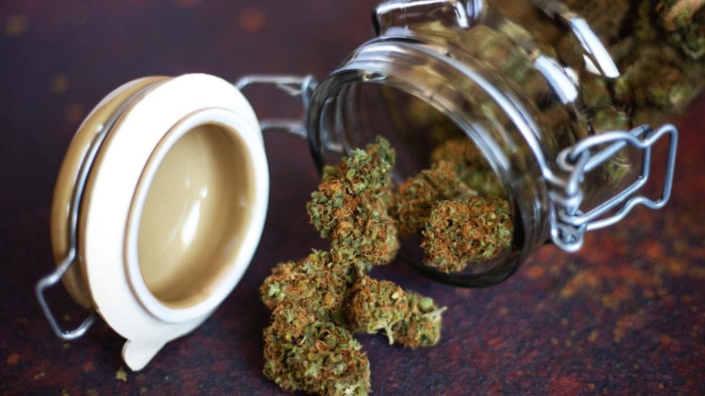 Flower CBD